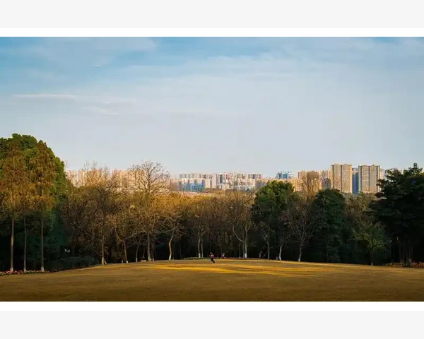 B2B到底是什么意思一文讲透